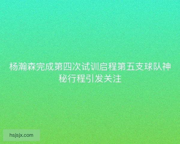 杨瀚森完成第四次试训启程第五支球队神秘行程引发关注
