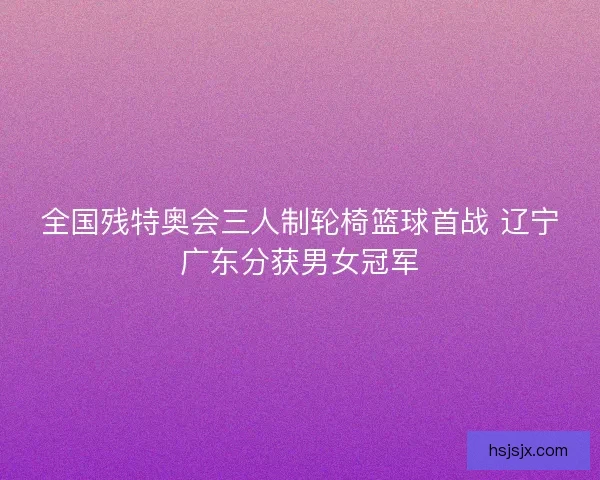 全国残特奥会三人制轮椅篮球首战 辽宁广东分获男女冠军